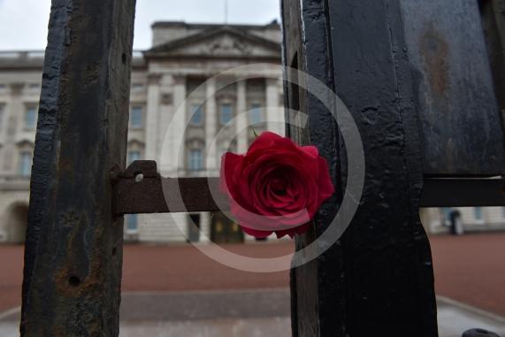 Scenes outside Biuckingham Palace, London, awaiting the Queen&rsquo;s Coffin