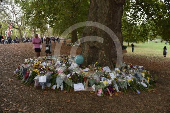 Scenes outside Biuckingham Palace, London, awaiting the Queen&rsquo;s Coffin