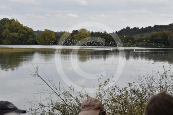 The council has come under fire for its decision to reduce the size of Little Marlow Lakes Country Park. Those against the decision feel it will give developers more rein over building plans for the site Marlow Road, Little Marlow, MARLOW