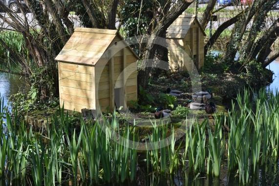 The pond on Lower Cippenham Lane, Cippenham2 new duck houses have been built but there&rsquo;s reports that pregnant ducks can&rsquo;t fit through the doorway on the houses.
