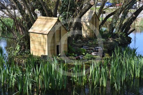 The pond on Lower Cippenham Lane, Cippenham2 new duck houses have been built but there&rsquo;s reports that pregnant ducks can&rsquo;t fit through the doorway on the houses.