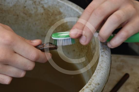 Archaeologists at the University of Reading and volunteers are set to embark on another round of excavations at the site of an Anglo-Saxon 8th-century monastery next to Holy Trinity Church in Cookham, Berkshire. 