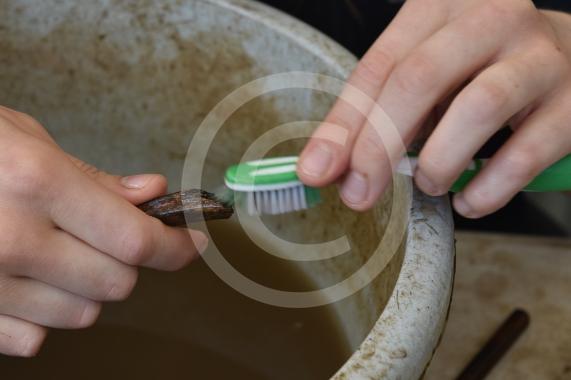Archaeologists at the University of Reading and volunteers are set to embark on another round of excavations at the site of an Anglo-Saxon 8th-century monastery next to Holy Trinity Church in Cookham, Berkshire. 
