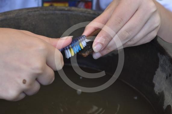 Archaeologists at the University of Reading and volunteers are set to embark on another round of excavations at the site of an Anglo-Saxon 8th-century monastery next to Holy Trinity Church in Cookham, Berkshire. 