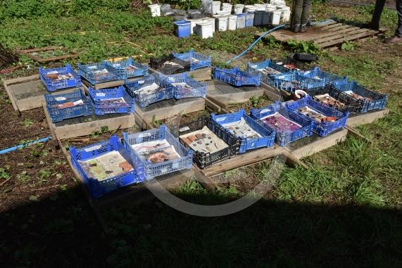 Archaeologists at the University of Reading and volunteers are set to embark on another round of excavations at the site of an Anglo-Saxon 8th-century monastery next to Holy Trinity Church in Cookham, Berkshire. 