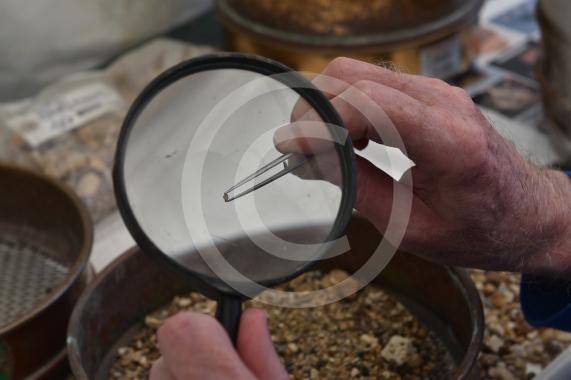 Archaeologists at the University of Reading and volunteers are set to embark on another round of excavations at the site of an Anglo-Saxon 8th-century monastery next to Holy Trinity Church in Cookham, Berkshire. 