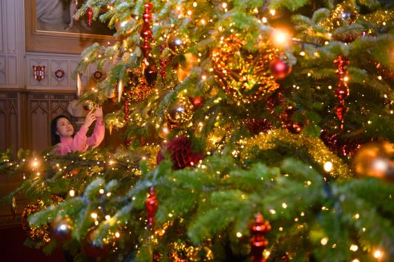 Windsor Castle Christmas display.A 20-foot-high Nordmann Fir tree in St George's Hall, grown nearby in Windsor Great Park. This year it is topped by a new Garter Star decorationThis year’s Christmas display at Windsor Castle celebrates the 675th anniversary of the Order of the Garter.