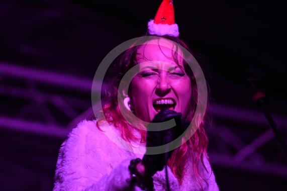Maidenhead's Christmas Market & Christmas lights switch-on, Maidenhead Town Hall. THE COLOUR TREE