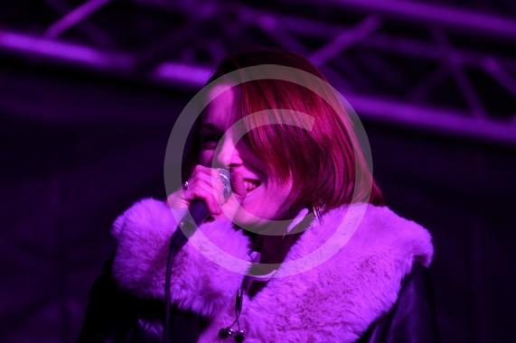 Maidenhead's Christmas Market & Christmas lights switch-on, Maidenhead Town Hall. TARA DEANE & CO