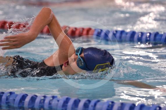 THE 40th ANNUAL SWIMARATHONLions Club of MaidenheadBraywick Leisure Centre, Maidenhead 