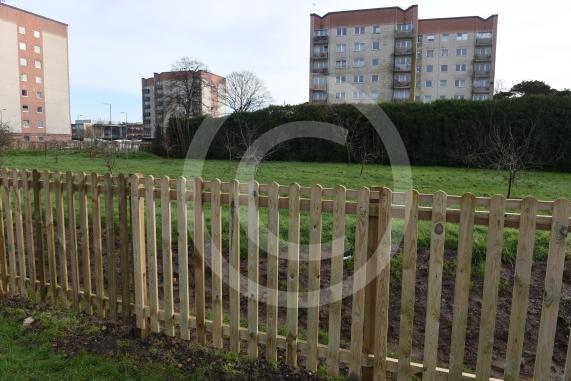 Sawyers Close orchardCommunity Orchard has now been adequately protectedSawyers Close, Dedworth, Windsor