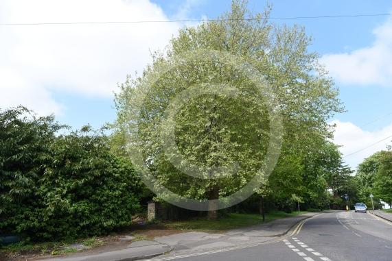 An old bungalow and outbuildings at 157 Grenfell Road had been threatened with demolition under a plan for four new homes at the site. 
A planning inspector has said the new homes cannot go ahead over fears of a ‘pressure to prune’ protected trees at the site.
The house is at the corner of Kings Grove and Grenfell Road, Maidenhead
