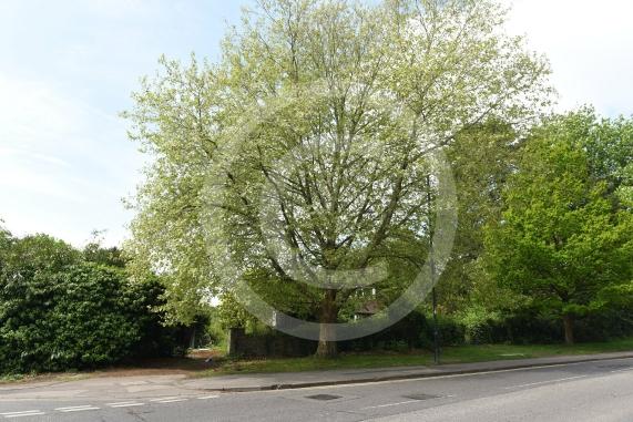 An old bungalow and outbuildings at 157 Grenfell Road had been threatened with demolition under a plan for four new homes at the site. 
A planning inspector has said the new homes cannot go ahead over fears of a ‘pressure to prune’ protected trees at the site.
The house is at the corner of Kings Grove and Grenfell Road, Maidenhead
