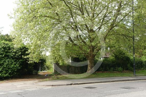 An old bungalow and outbuildings at 157 Grenfell Road had been threatened with demolition under a plan for four new homes at the site. 
A planning inspector has said the new homes cannot go ahead over fears of a ‘pressure to prune’ protected trees at the site.
The house is at the corner of Kings Grove and Grenfell Road, Maidenhead
