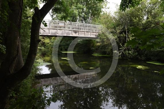 Dog walkers have raised concerns about the safety of the water in The Cut stream in Maidenhead.  The Cut by Braywick Park 