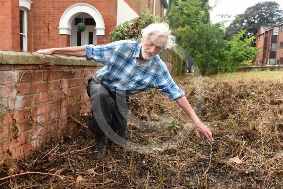 WildMaidenhead are annoyed because the council’s contractors have ripped through a hedge they planted at Kidwells Park north entrance a few years ago.Martin Woolner from the groupKidwells Park north entrance, Maidenhead
