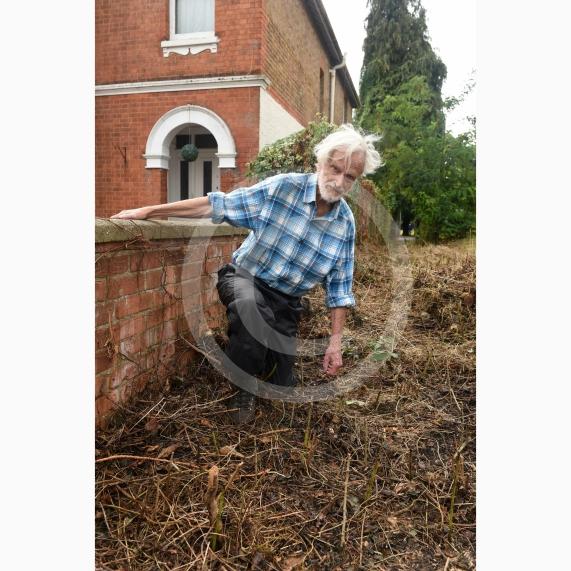 WildMaidenhead are annoyed because the council’s contractors have ripped through a hedge they planted at Kidwells Park north entrance a few years ago.Martin Woolner from the groupKidwells Park north entrance, Maidenhead