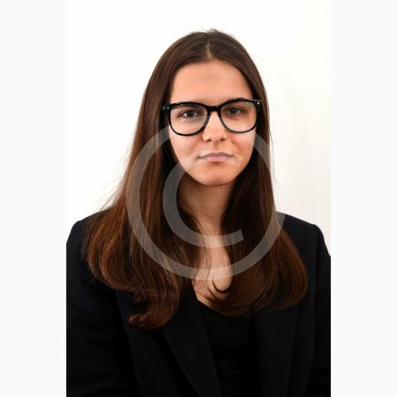 LDR, Reporter, Elena ChiujdeaMaidenhead 