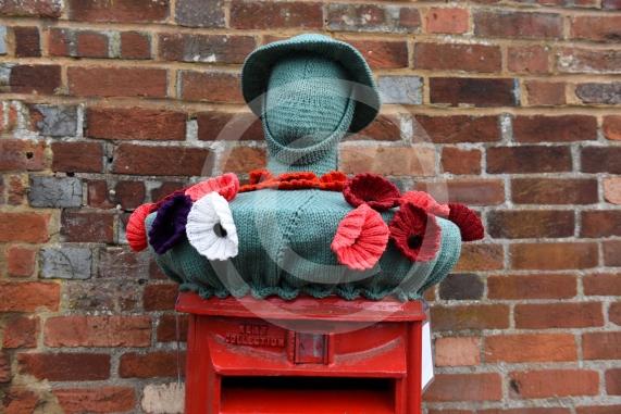 Remembrance knitting on top of the postbox on Bray High StreetALSOA Remembrance Poppy display in the park on Bray Road, Bray