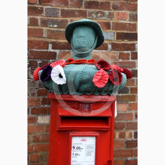 Remembrance knitting on top of the postbox on Bray High StreetALSOA Remembrance Poppy display in the park on Bray Road, Bray