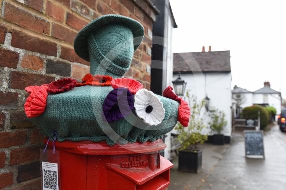 Remembrance knitting on top of the postbox on Bray High StreetALSOA Remembrance Poppy display in the park on Bray Road, Bray