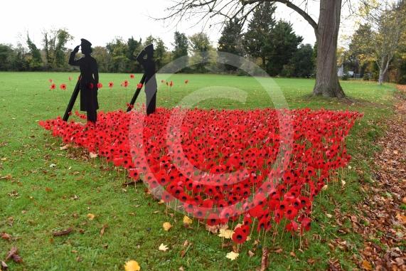 Remembrance knitting on top of the postbox on Bray High StreetALSOA Remembrance Poppy display in the park on Bray Road, Bray