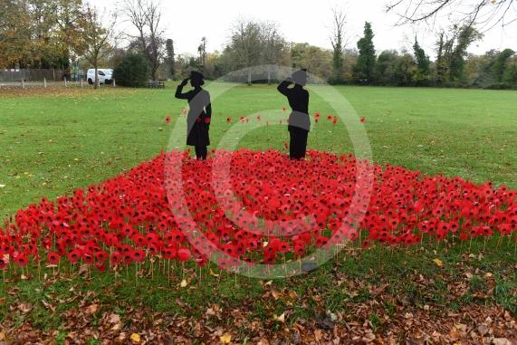Remembrance knitting on top of the postbox on Bray High StreetALSOA Remembrance Poppy display in the park on Bray Road, Bray