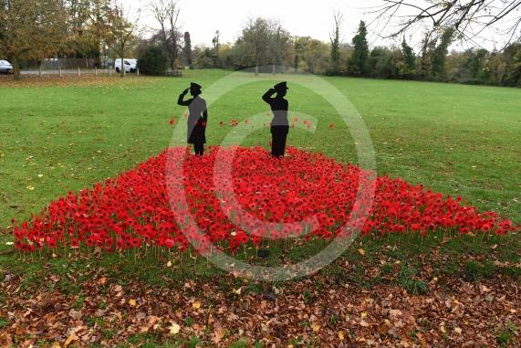 Remembrance knitting on top of the postbox on Bray High StreetALSOA Remembrance Poppy display in the park on Bray Road, Bray