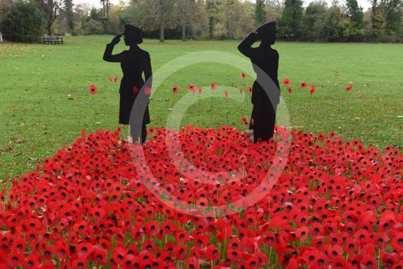 Remembrance knitting on top of the postbox on Bray High StreetALSOA Remembrance Poppy display in the park on Bray Road, Bray