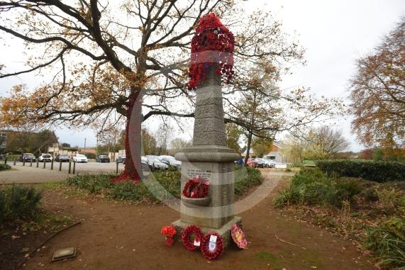 Clewer War Memorial (based at Clewer Memorial Park), Dedworth RoadA stunning sea of more than 2,000 handmade poppies will surround the Clewer War Memorial in Dedworth