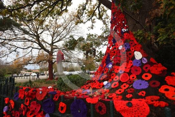 Clewer War Memorial (based at Clewer Memorial Park), Dedworth RoadA stunning sea of more than 2,000 handmade poppies will surround the Clewer War Memorial in Dedworth