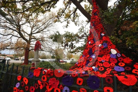 Clewer War Memorial (based at Clewer Memorial Park), Dedworth RoadA stunning sea of more than 2,000 handmade poppies will surround the Clewer War Memorial in Dedworth