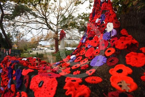 Clewer War Memorial (based at Clewer Memorial Park), Dedworth RoadA stunning sea of more than 2,000 handmade poppies will surround the Clewer War Memorial in Dedworth
