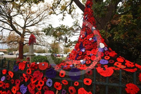 Clewer War Memorial (based at Clewer Memorial Park), Dedworth RoadA stunning sea of more than 2,000 handmade poppies will surround the Clewer War Memorial in Dedworth