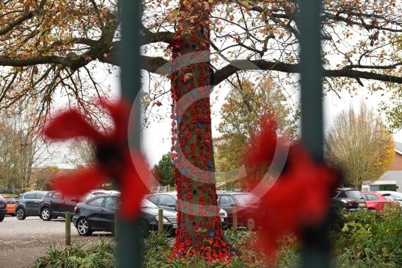 Clewer War Memorial (based at Clewer Memorial Park), Dedworth RoadA stunning sea of more than 2,000 handmade poppies will surround the Clewer War Memorial in Dedworth