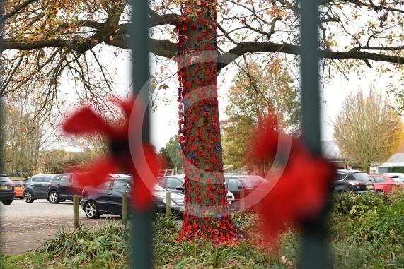 Clewer War Memorial (based at Clewer Memorial Park), Dedworth RoadA stunning sea of more than 2,000 handmade poppies will surround the Clewer War Memorial in Dedworth