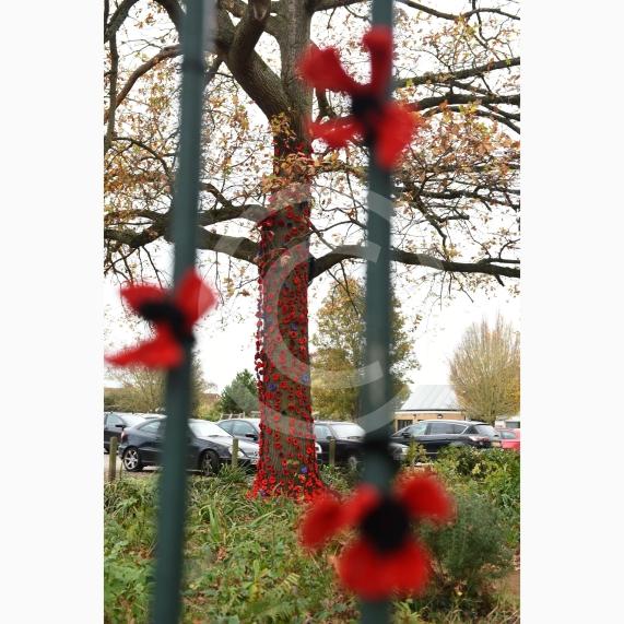 Clewer War Memorial (based at Clewer Memorial Park), Dedworth RoadA stunning sea of more than 2,000 handmade poppies will surround the Clewer War Memorial in Dedworth