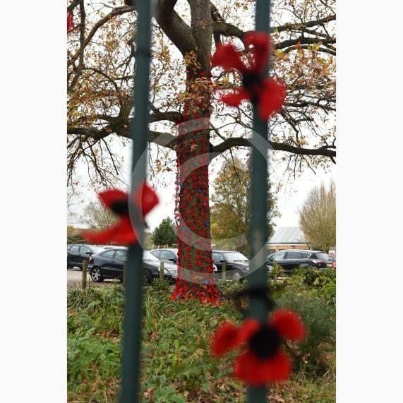 Clewer War Memorial (based at Clewer Memorial Park), Dedworth RoadA stunning sea of more than 2,000 handmade poppies will surround the Clewer War Memorial in Dedworth