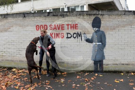 New graffiti on wall at Ward Royal Estate, Charles Street, WindsorPossible BanksyAmanda Heighway with Labrador siblings Watson 4 (brown) and Rosie 3 (black)12.11.25 and 13.11.25