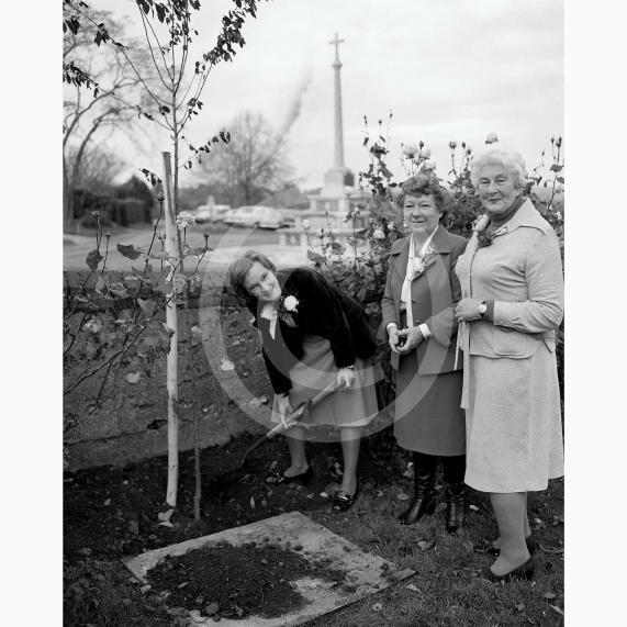 Remember When, Maidenhead Advertiser