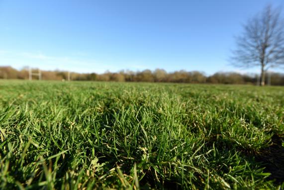 Braywick Park, Maidenhead 