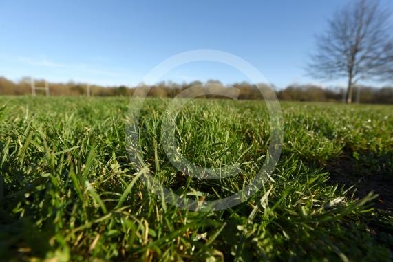 Braywick Park, Maidenhead 