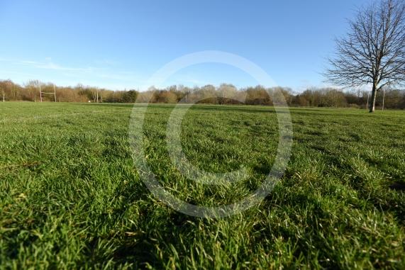 Braywick Park, Maidenhead 