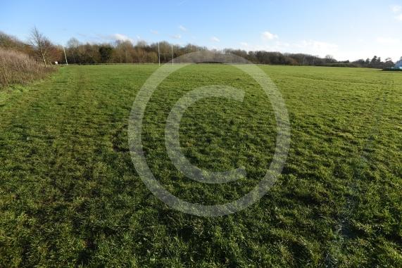 Braywick Park, Maidenhead 