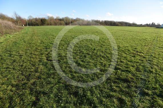 Braywick Park, Maidenhead 