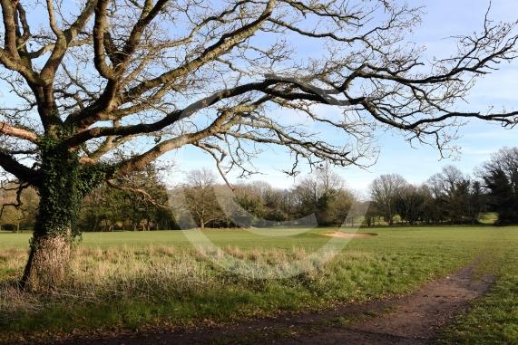 Maidenhead Golf Cljub &ndash; CLOSEDEntrance and on Public Footpath, Maidenhead