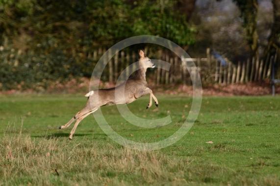 Maidenhead Golf Cljub &ndash; CLOSEDEntrance and on Public Footpath, Maidenhead