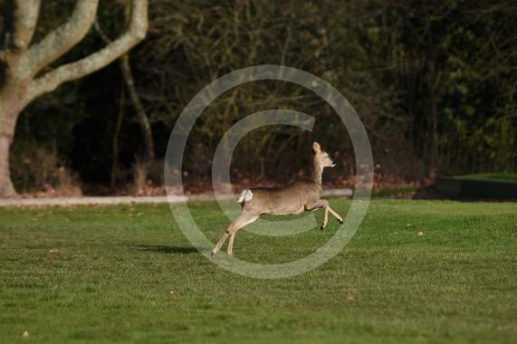 Maidenhead Golf Cljub &ndash; CLOSEDEntrance and on Public Footpath, Maidenhead