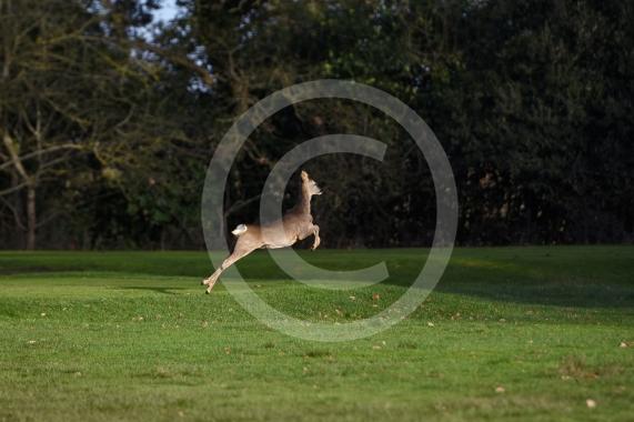 Maidenhead Golf Cljub &ndash; CLOSEDEntrance and on Public Footpath, Maidenhead