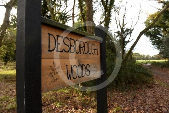 Maidenhead Golf Cljub &ndash; CLOSEDEntrance and on Public Footpath, Maidenhead